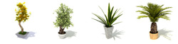 DOSCH 3D: Indoor Plants